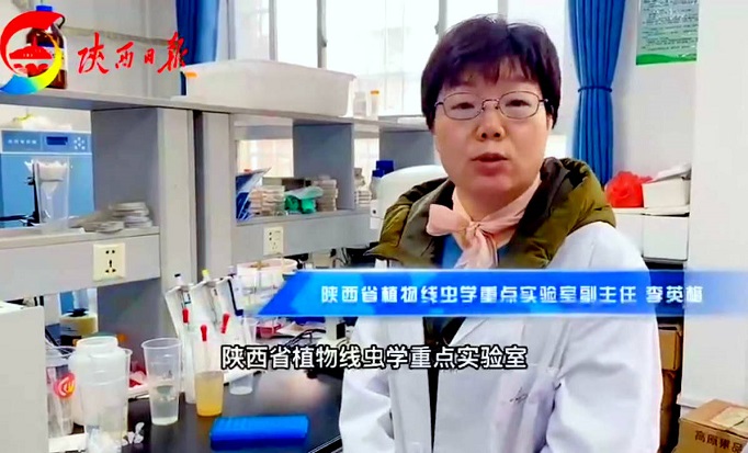 探訪陜西省植物線蟲學重點實驗室